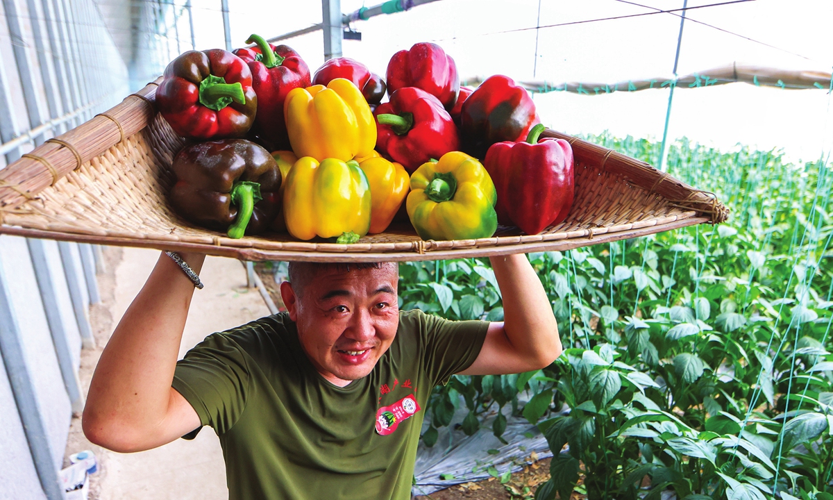 A farmer from an agricultural cooperative in Lishan district, Huaibei city, East China's Anhui Province, holds a basket of freshly harvested greenhouse vegetables on May 22, 2024. The local initiative encourages farmers to invest their land shares in cooperatives, with the village collectively holding stocks. This initiative has adjusted planting structures and encouraged farmers to develop greenhouse cultivation, thus promoting increased incomes for villagers. Photo: VCG