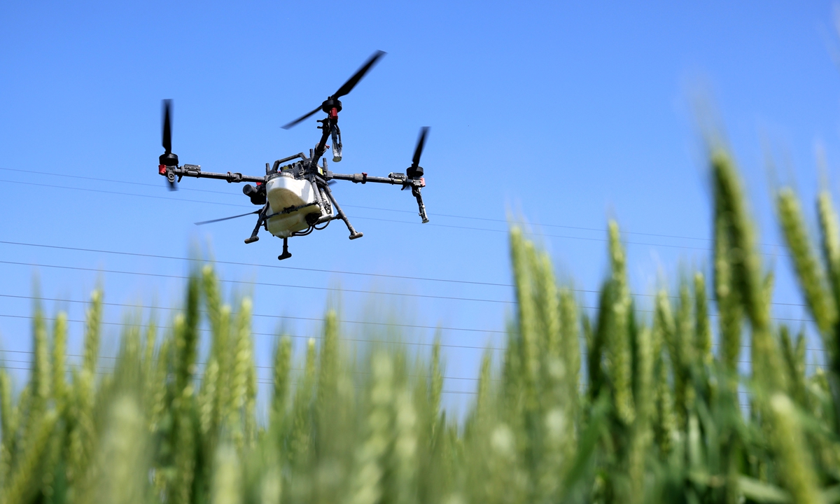 A drone sprays combination of insecticide and nutrient solution in the field in Zaozhuang, East China's Shandong Province, on April 27, 2024. Photo: VCG