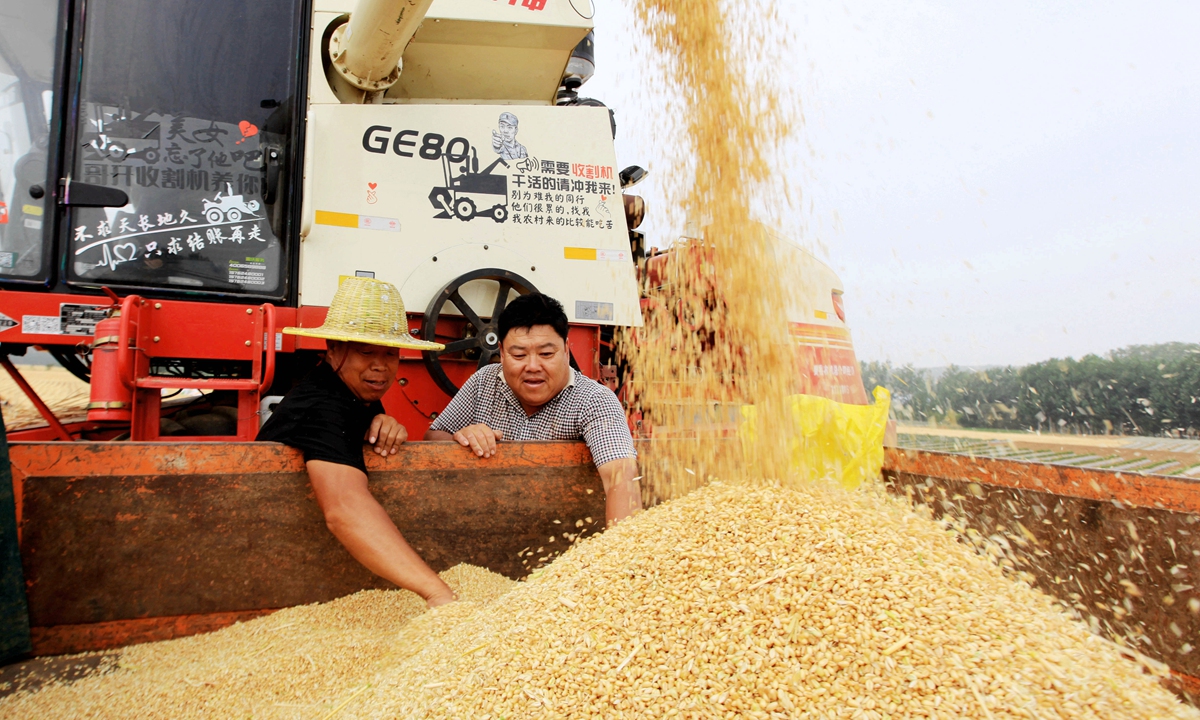 Farmers load the harvested wheat onto trucks in Linyi, East China's Shandong Province, on May 21, 2024. Photo: VCG