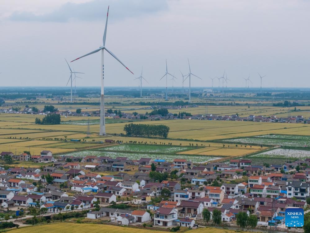 An aerial drone photo taken on May 21, 2024 shows a wind power project in Baoying County of Yangzhou, east China's Jiangsu Province. In recent years, the city of Yangzhou has been boosting the construction of clean energy projects to promote the green development.(Photo: Xinhua)