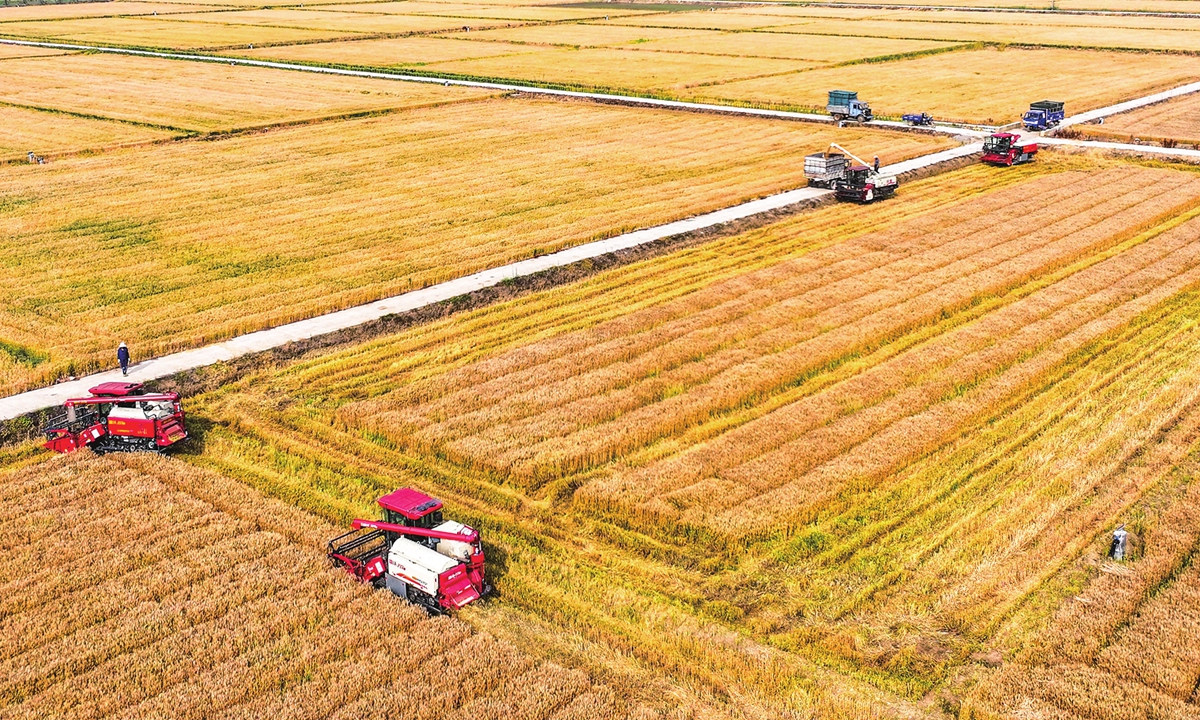 A farmer sprays pesticides in the corn field in the Tacheng Prefecture, Northwest China's Xinjiang Uygur Autonomous Region with a spray truck on May 14, 2024. Photo: VCG