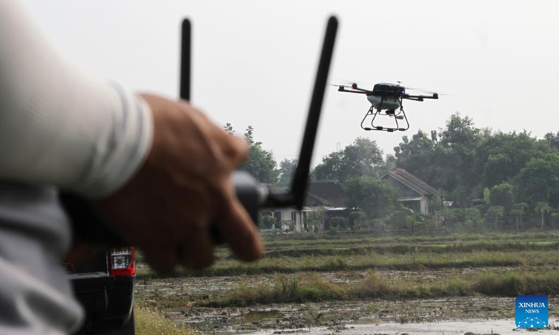 An operator controls an agricultural drone to spray herbicide at a paddy field in Sukoharjo, Central Java, Indonesia, May 23, 2024. Agricultural drones are used here to help local farmers do farm work in a more efficient, convenient and safe way.(Photo: Xinhua)