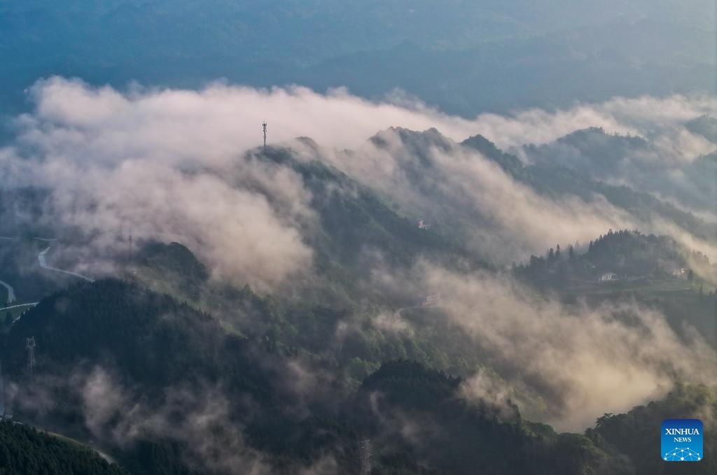 An aerial drone photo taken on May 23, 2024 shows a sea of clouds at the Jinfo Mountain in Nanchuan District, southwest China's Chongqing Municipality.(Photo: Xinhua)