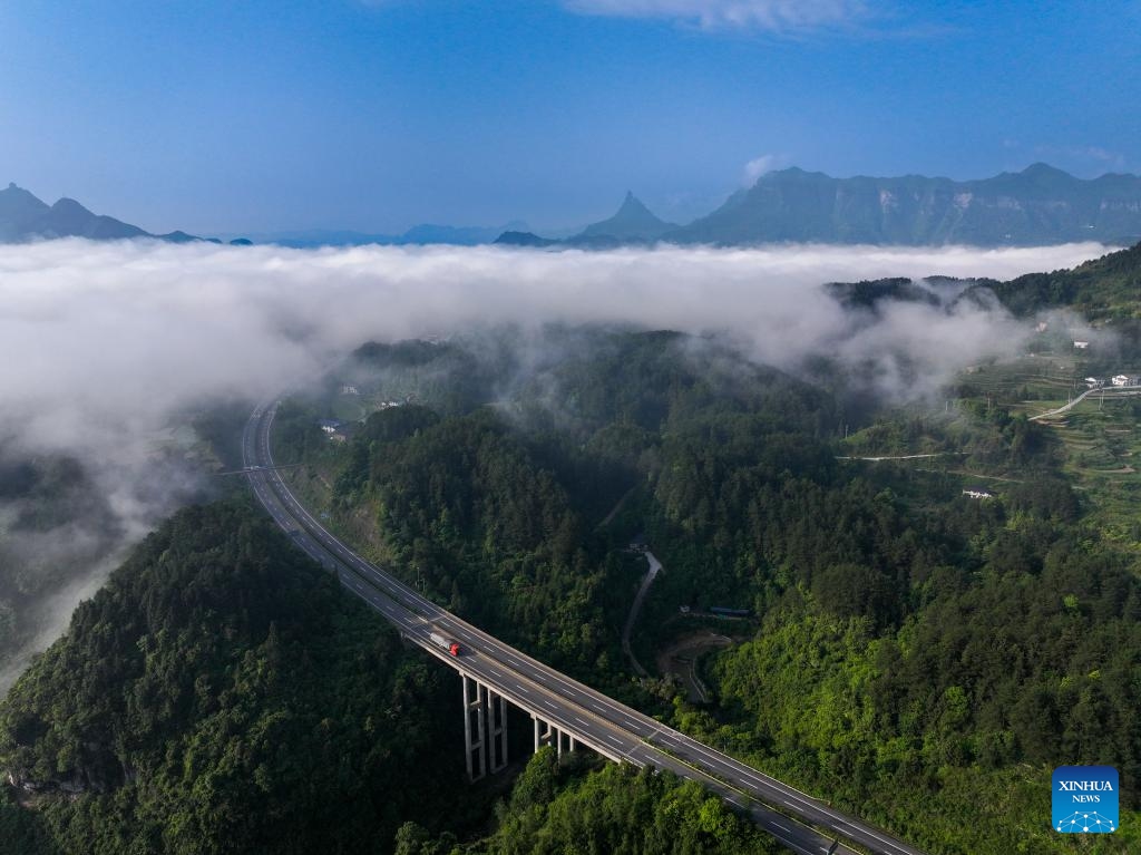 An aerial drone photo taken on May 23, 2024 shows the scenery of sea of clouds at the Jinfo Mountain in Nanchuan District, southwest China's Chongqing Municipality.(Photo: Xinhua)