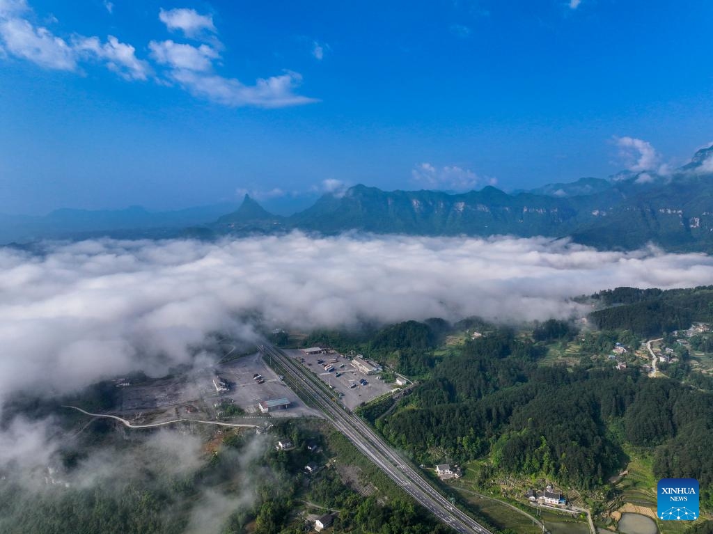 An aerial drone photo taken on May 23, 2024 shows the scenery of sea of clouds at the Jinfo Mountain in Nanchuan District, southwest China's Chongqing Municipality.(Photo: Xinhua)