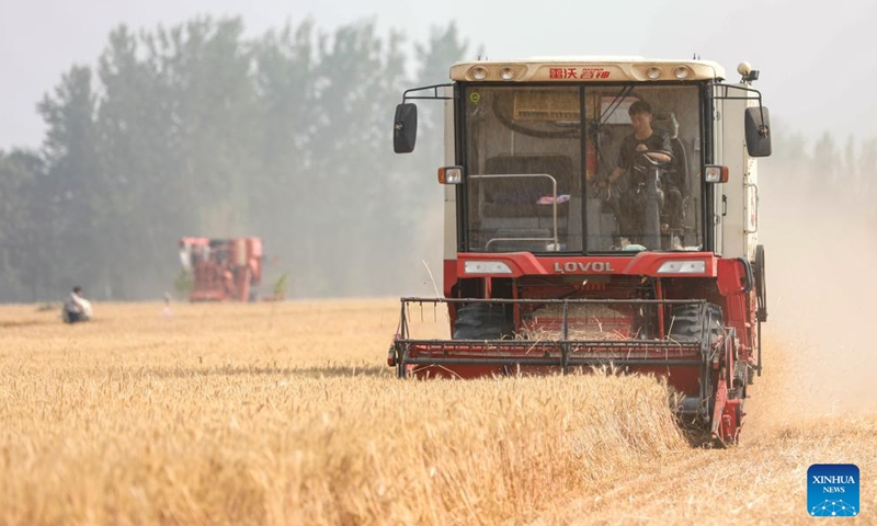 A reaper works in the wheat fields in Huangzhuang Village in Suixian County, Shangqiu City of central China's Henan Province, May 26, 2024. (Photo: Xinhua)