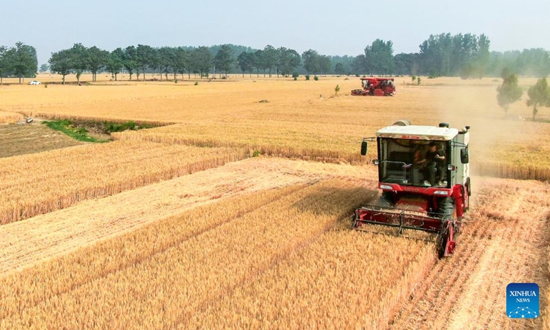 A reaper works in the wheat fields in Huangzhuang Village in Suixian County, Shangqiu City of central China's Henan Province, May 26, 2024. (Photo: Xinhua)