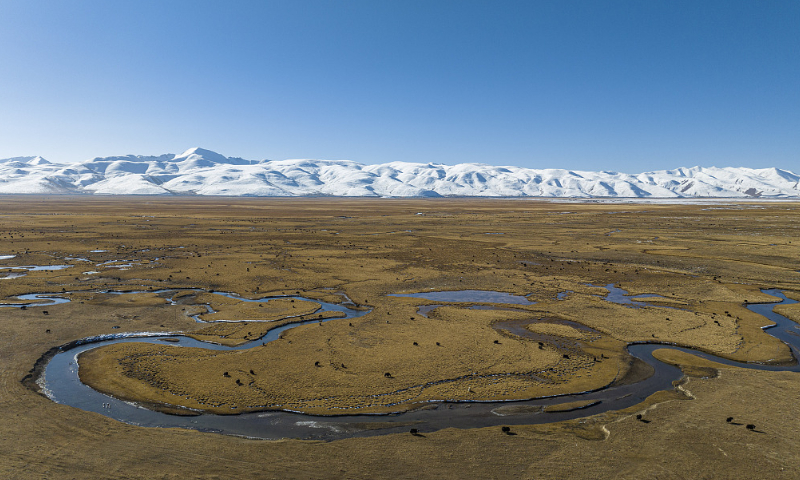 The<strong></strong> photo taken on November 11, 2023 shows a pasture in Damxung County in Lhasa, Southwest China's Xizang Autonomous Region. Photo: VCG