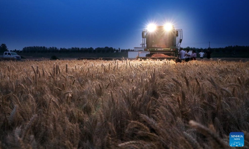 Farmers harvest wheat in the fields in Wulou Village in Shangshui County, Zhoukou City of central China's Henan Province, May 25, 2024. (Photo: Xinhua)