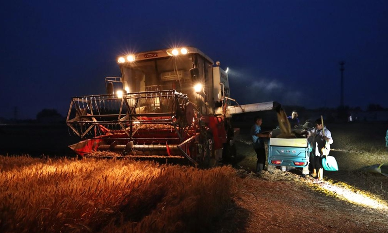 Farmers harvest wheat in the fields in Wulou Village in Shangshui County, Zhoukou City of central China's Henan Province, May 25, 2024. (Photo: Xinhua)