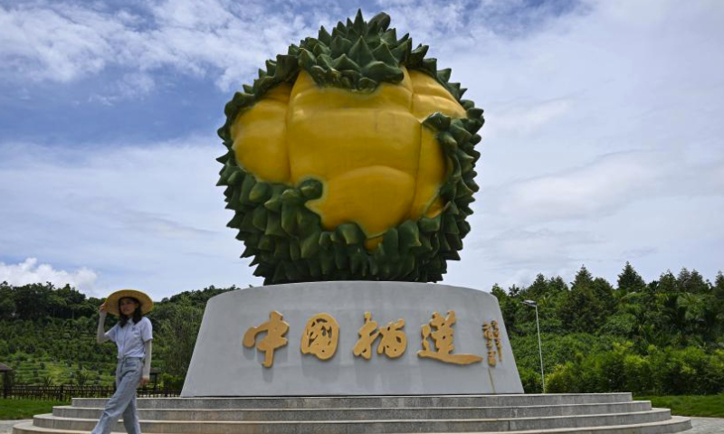 A drone photo taken on July 20, 2024 shows a durian base in Sanya City, south China's Hainan Province. Recently, the domestically grown durians in Sanya City, south China's Hainan Province, have entered the market season.

As the world's largest importer and consumer of durians, China has long relied on imports to meet its demand for durians. In recent years, with breakthroughs in cultivation technology, Sanya City, as the main production area of domestic durians, has been continuously developing the durian industry. By expanding the durian planting scale, promoting durian planting techniques, opening stores for selling domestic durians, and establishing durian brands, Sanya has walked on a path to promote rural revitalization. (Xinhua/Pu Xiaoxu)