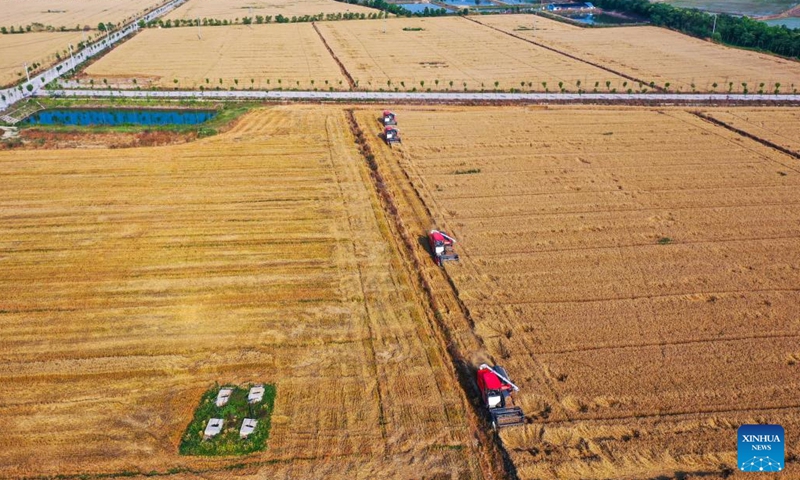 An aerial drone photo shows reapers working in the wheat fields in Suntiepu Township in Guangshan County, Xinyang City of central China's Henan Province, May 25, 2024. (Photo: Xinhua)