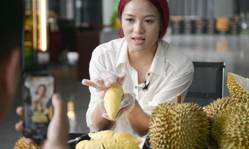 A livestreamer promotes domestic durians at a durian base in Sanya City, south China's Hainan Province, July 20, 2024. Recently, the domestically grown durians in Sanya City, south China's Hainan Province, have entered the market season.

As the world's largest importer and consumer of durians, China has long relied on imports to meet its demand for durians. In recent years, with breakthroughs in cultivation technology, Sanya City, as the main production area of domestic durians, has been continuously developing the durian industry. By expanding the durian planting scale, promoting durian planting techniques, opening stores for selling domestic durians, and establishing durian brands, Sanya has walked on a path to promote rural revitalization. (Xinhua/Pu Xiaoxu)