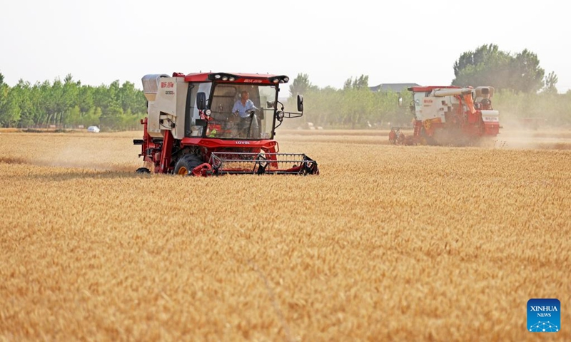 Farmers drive harvesters through a wheat field in Sanjing Village of Linyi City, east China's Shandong Province, May 27, 2024.(Photo: Xinhua)