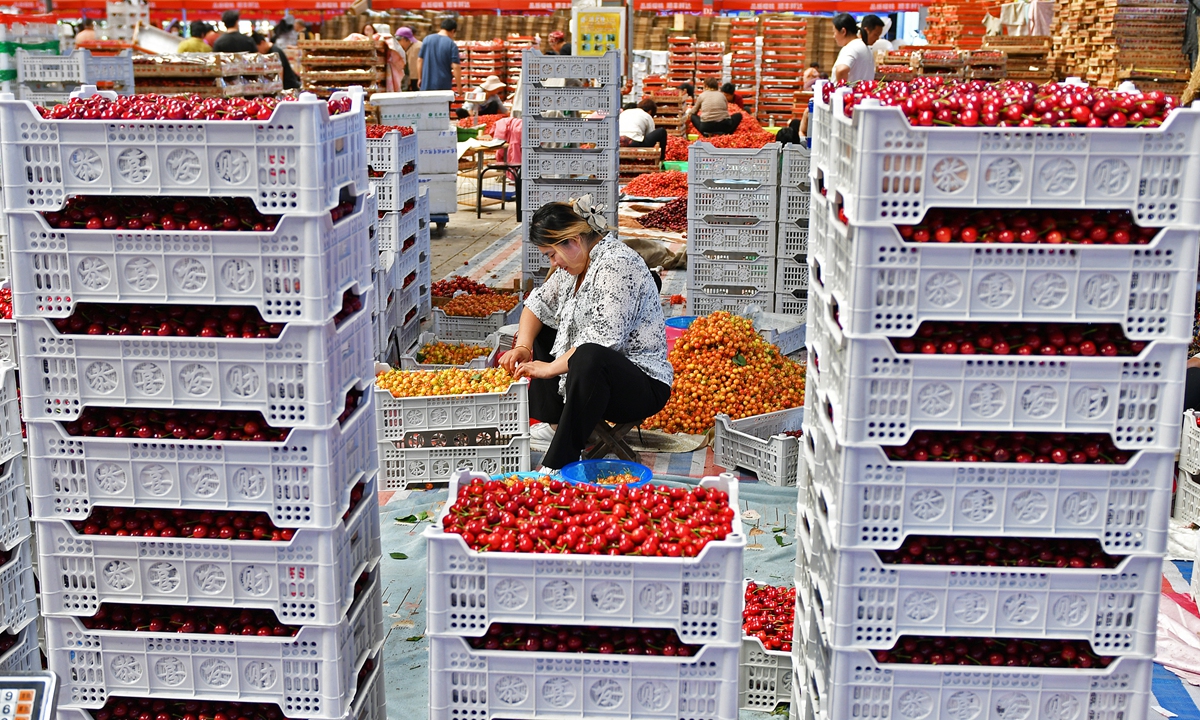 Farmers sort cherries inside a local market in the Fushan district of Yantai, East China's Shandong Province on May 28, 2024. Local greenhouse cherry plantations annually yield 160 million yuan ($22.09 million) for the Fushan district, according to the Xinhua News Agency. 