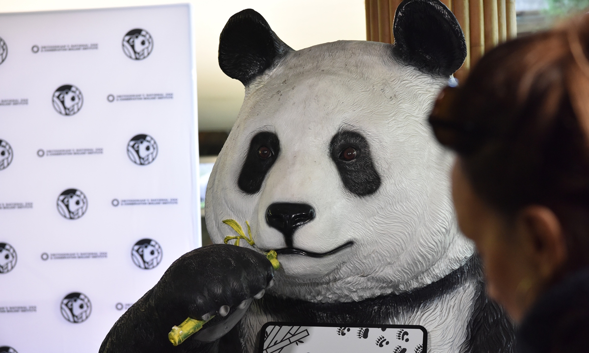 A panda statue is seen at a press conference at Smithsonian's National Zoo in Washington DC on May 29, 2024. A pair of giant pandas from China will soon be housed at the zoo, the zoo announced on Wednesday. Two-year-old male panda Bao Li and two-year-old female panda Qing Bao are set to arrive in the US capital later this year. Photo:VCG
