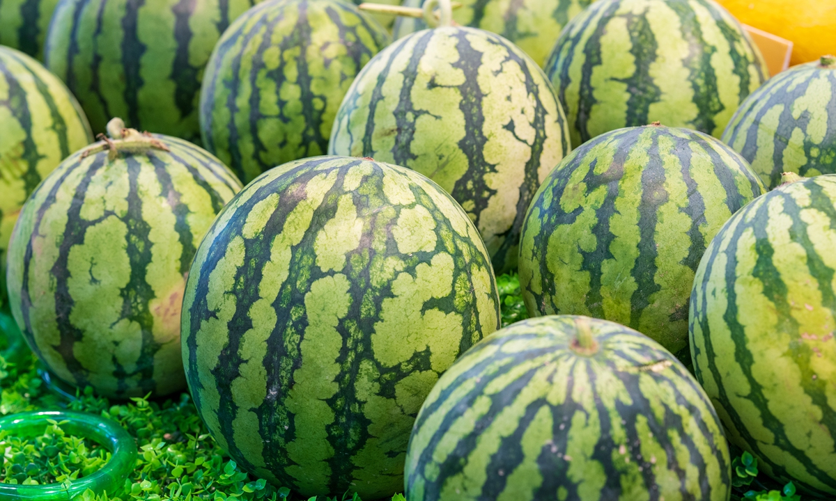 Watermelons Photo: VCG