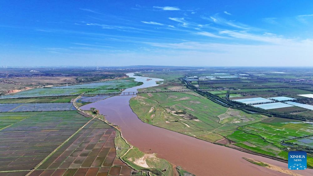 An aerial drone photo taken on May 30, 2024 shows a section of the Yellow River in Yinchuan, northwest China's Ningxia Hui Autonomous Region. The Yellow River, China's second-largest river after the Yangtze, is dubbed the mother river. In recent years, continued efforts have been made to protect its ecology, as vitality has returned to the Yellow River basin in Ningxia.(Photo: Xinhua)