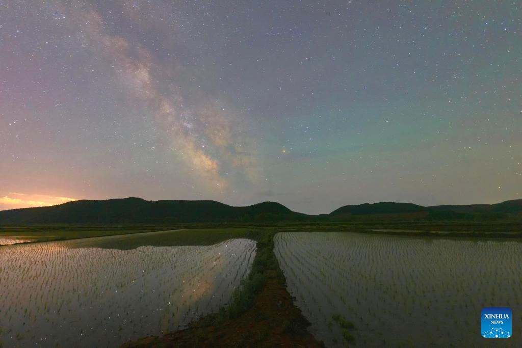 This photo taken on June 2, 2024 shows paddy fields in Hailin City, northeast China's Heilongjiang Province. Rice transplanting is almost over in China's major grain production province Heilongjiang, known as the country's grain barn.(Photo: Xinhua)