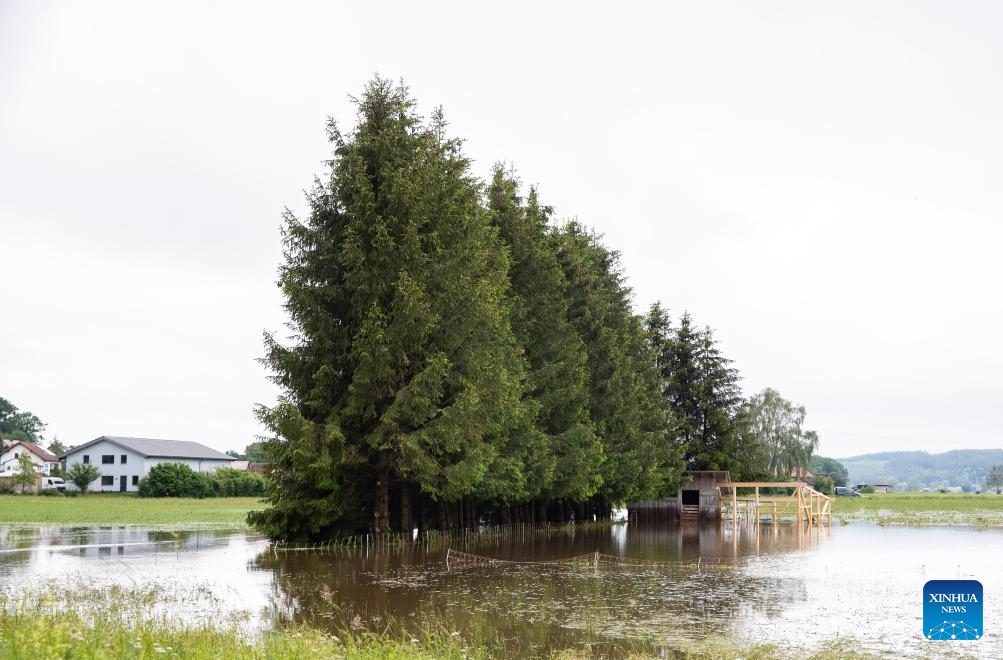 This photo taken on June 2, 2024 shows a flooded area in Babenhausen, southern German state of Bavaria.(Photo: Xinhua)