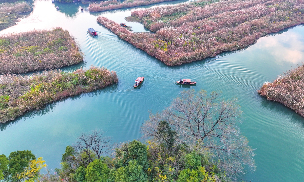 Hangzhou Xixi natural reserve in East China's Zhejiang Province 