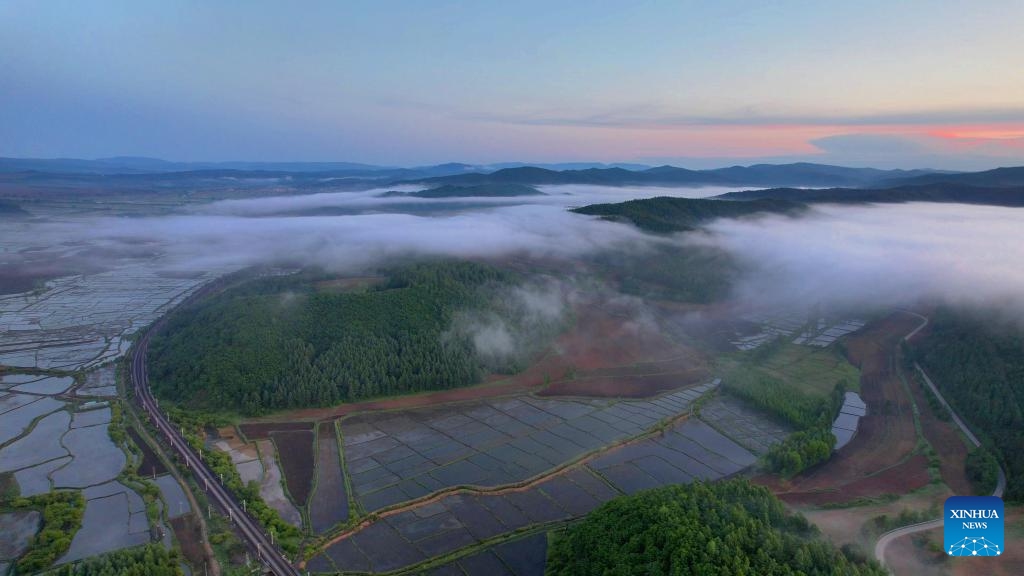 An aerial drone photo taken on June 3, 2024 shows fog over paddy fields in Hailin City, northeast China's Heilongjiang Province.(Photo: Xinhua)