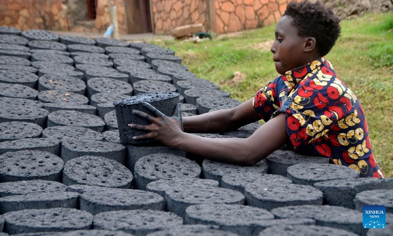 Shadia Abasa dries freshly made briquettes at the sanctuary in Kampala, Uganda, May 30, 2024.(Photo: Xinhua)