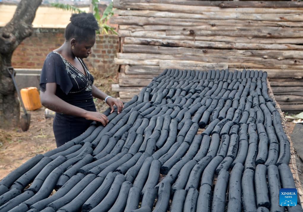 A woman arranges freshly made briquettes at a sanctuary in Kampala, Uganda, May 30, 2024.(Photo: Xinhua)