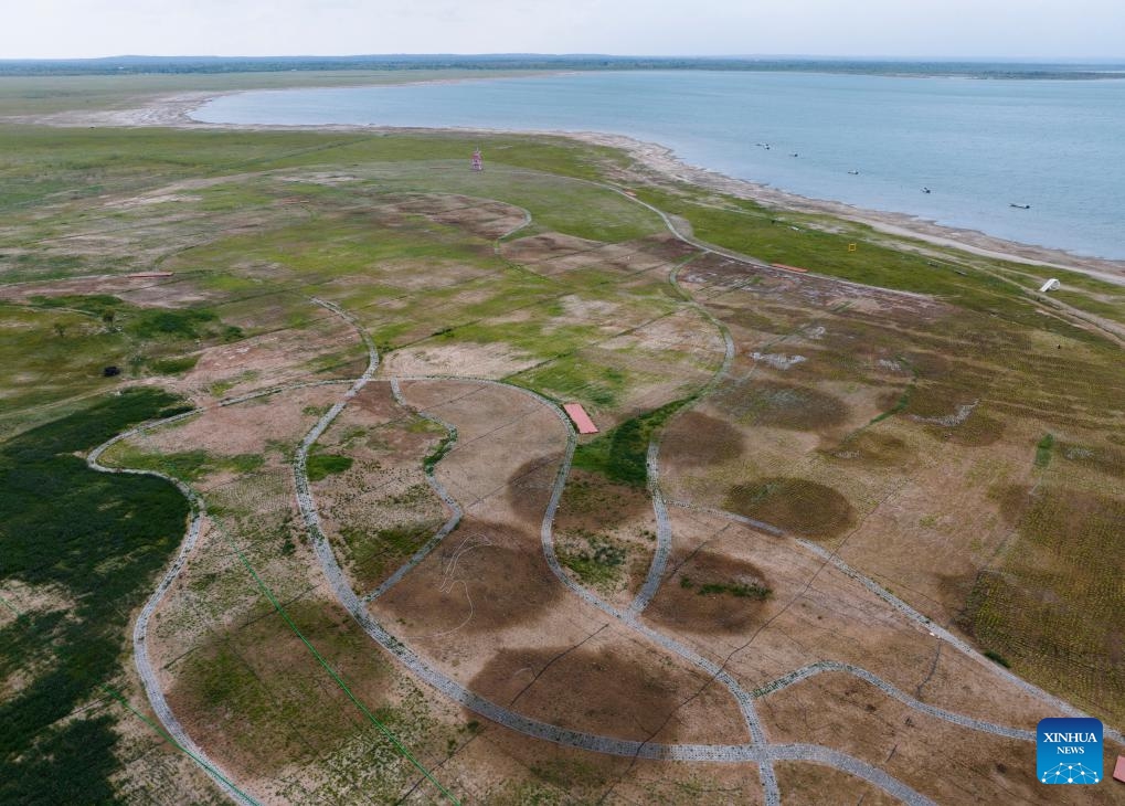 An aerial drone photo taken on June 4, 2024 shows a restoration program for degraded grassland in Hongjiannao National Nature Reserve in Shenmu, northwest China's Shaanxi Province. At present, nearly 5,000 nests of relict gulls have entered the incubation and brooding period in the Hongjiannao Lake, China's largest desert freshwater lake.(Photo: Xinhua)