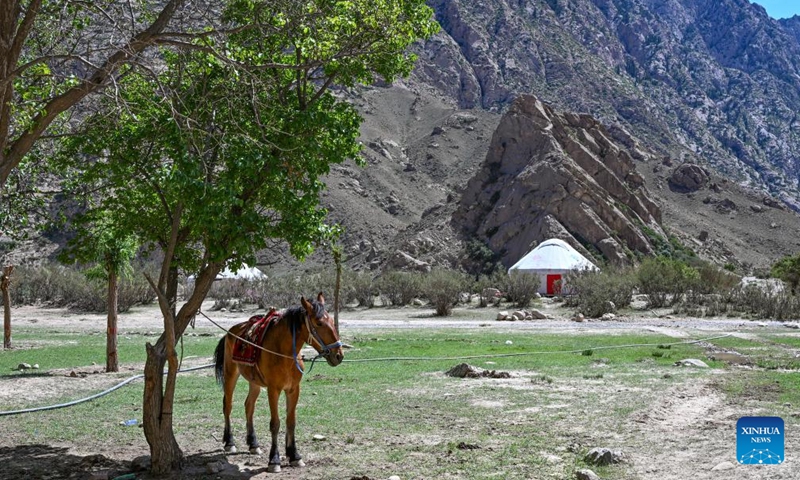 This photo taken on June 9, 2024 shows a view of the Wusun ancient road in Baicheng County, northwest China's Xinjiang Uygur Autonomous Region. A 7-day event featuring hiking and camping was launched here on Sunday, attracting more than 150 hiking enthusiasts from all over the country. (Photo: Xinhua)