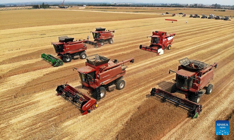 An aerial drone photo shows combine harvesters reaping wheat in a field in Dachang Town of Xihai'an (West Coast) New Area in Qingdao, east China's Shandong Province, June 11, 2024. (Photo: Xinhua)