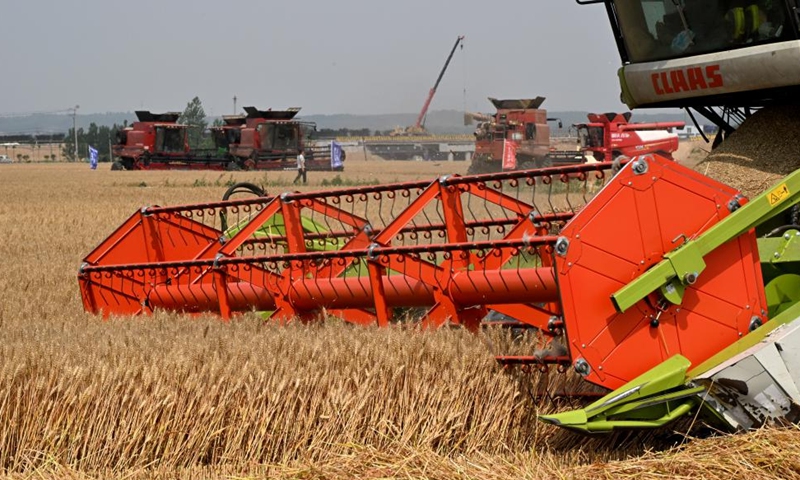 A combine harvester reaps wheat in a field in Dachang Town of Xihai'an (West Coast) New Area in Qingdao, east China's Shandong Province, June 11, 2024. (Photo: Xinhua)