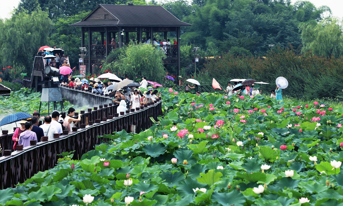 Tourists take photos of lotus flowers on a trestle bridge in Chengdu, Southwest China's Sichuan Province on June 12, 2024. Recently, the large lotus pond ushered in the best viewing period of the year. Photo: VCG