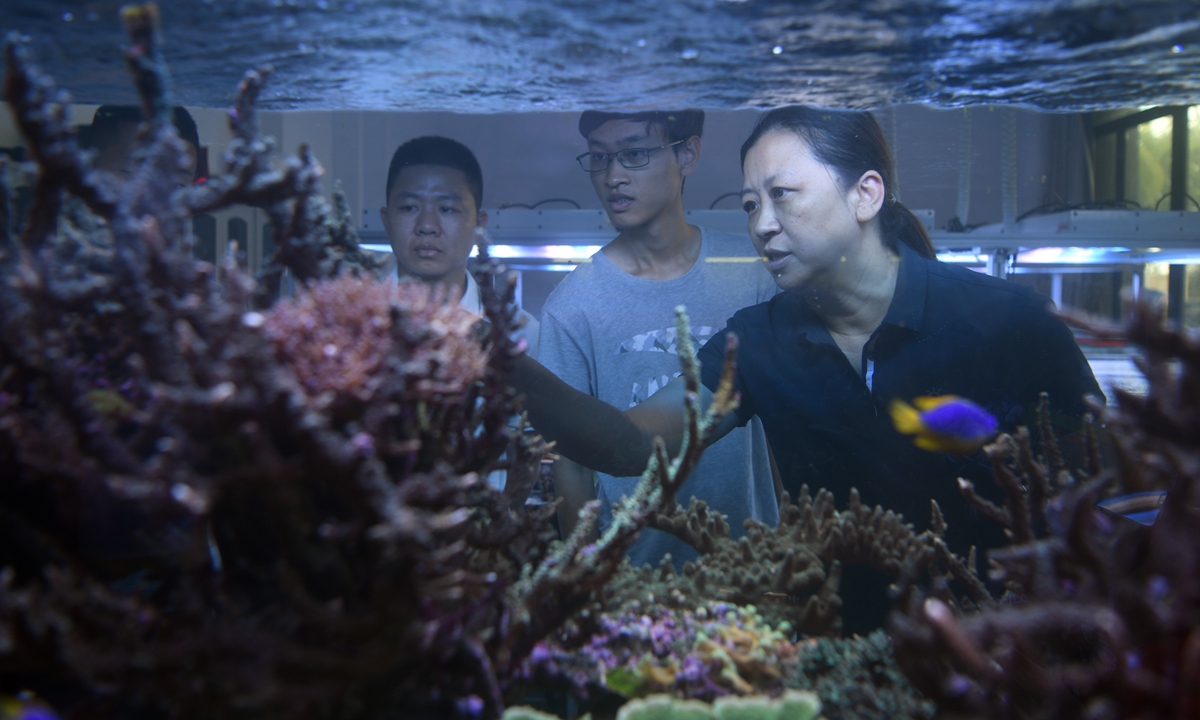 Chinese coral biologist Huang Hui and her students examine coral specimen on November 4, 2021, at a laboratory in Guangzhou, South China's Guangdong Province. Photo: VCG 