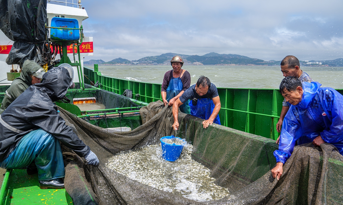 Fishermen and officers from local fishery and environmental protection departments in Wenling, East China's Zhejiang Province, release fish fry into local nearshore areas on June 7, 2024. Photo: VCG 