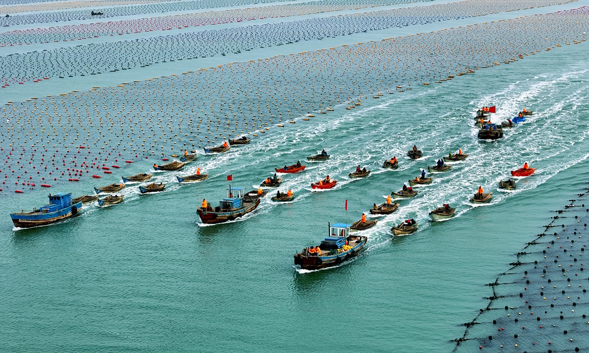 Fishermen work at a marine ranch in Ailun Bay in Rongcheng, East China's Shandong Province, on March 18, 2024. Photo: VCG 