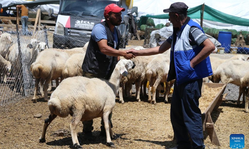 A customer buys sheep at a livestock market in Ankara, Türkiye, June 13, 2024.(Photo: Xinhua)