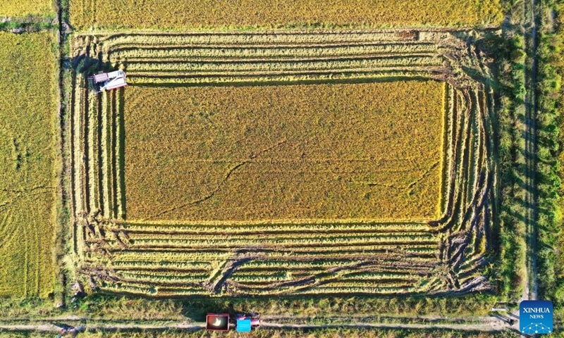 An automated harvester equipped with navigation system works in the rice fields in Nanchang County of China's Jiangxi Province, Oct. 11, 2022. With the application of technologies such as 5G and BeiDou Navigation Satellite System, the intelligent level of traditional industries in China's central region has been upgraded in recent years. (Photo: Xinhua)