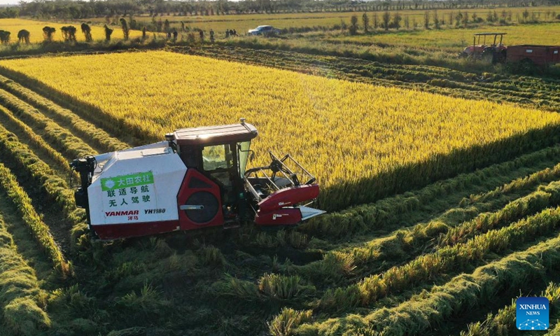 An automated harvester equipped with navigation system works in the rice fields in Nanchang County of China's Jiangxi Province, Oct. 11, 2022. With the application of technologies such as 5G and BeiDou Navigation Satellite System, the intelligent level of traditional industries in China's central region has been upgraded in recent years. (Photo: Xinhua)