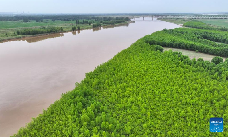 An aerial drone photo taken on June 13, 2024 shows a section of the Yellow River in northwest China's Ningxia Hui Autonomous Region. The Yellow River, China's second-largest river after the Yangtze, is dubbed the mother river. In recent years, continued efforts have been made to protect its ecology, as vitality has returned to the Yellow River basin in Ningxia. (Photo: Xinhua)