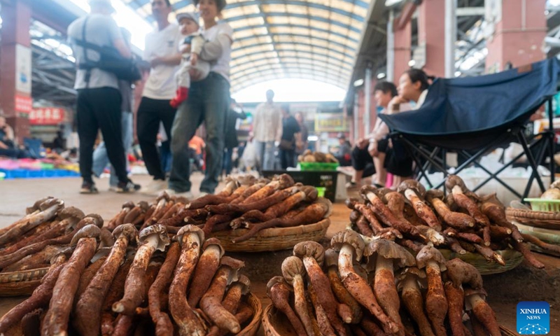 Wild mushrooms are seen at a trade market in Kunming, southwest China's Yunnan Province, June 17, 2024. The peak harvest season for wild edible fungi, a beloved seasonal delicacy in Yunnan has arrived, attracting many buyers.(Photo: Xinhua)
