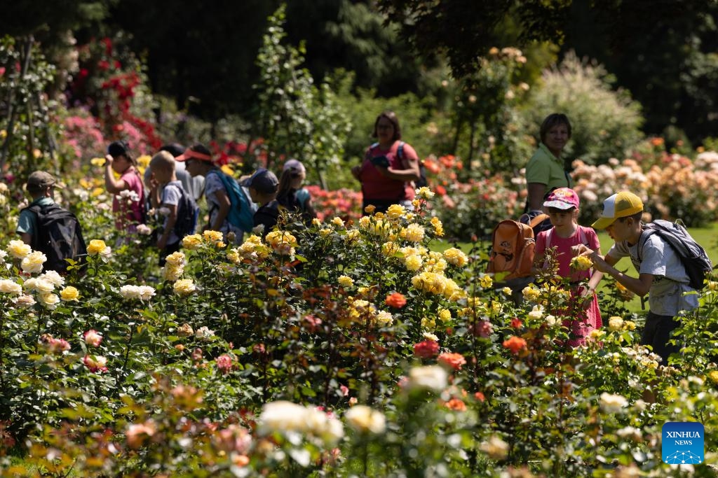 People enjoy themselves at the rose garden in the Volcji Potok Arboretum near Kamnik in Slovenia, on June 18, 2024. About 1,200 rose cultivars were on display at the Volcji Potok Arboretum.(Photo: Xinhua) 
