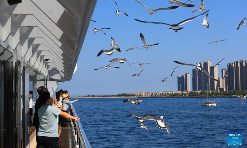 People feed the seagulls on a tourist boat in Dalian, northeast China's Liaoning Province, June 16, 2024. The 2024 Summer Davos meeting will be held from June 25 to 27 in northeast China's coastal city of Dalian, according to the city's coordination office for Summer Davos.

Also known as the 15th World Economic Forum Annual Meeting of the New Champions, this year's forum will feature the theme Next Frontiers for Growth. (Photo: Xinhua)
