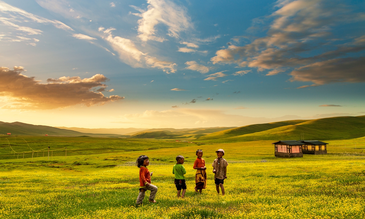 A group of kids play on the grassland with flowers in full bloom at sunrise in the Aba Tibetan and Qiang Autonomous Prefecture, Southwest China's Sichuan Province on June 26, 2024. Photo: VCG