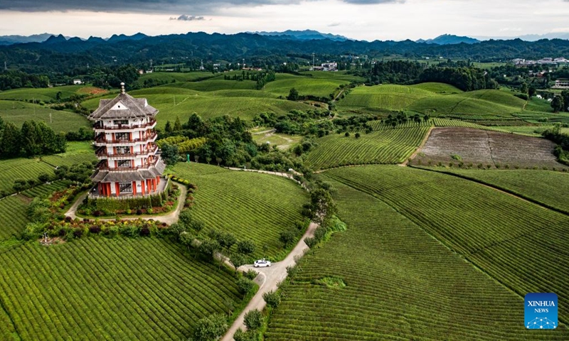 An aerial drone photo taken on June 25, 2024 shows a rural road in Yongxing Township of Meitan County in Zunyi City, southwest China's Guizhou Province. In the past ten years, the rural road network in Guizhou Province has been significantly improved. By the end of 2023, the total mileage of rural roads in Guizhou has reached 185,000 kilometers. (Xinhua/Tao Liang)