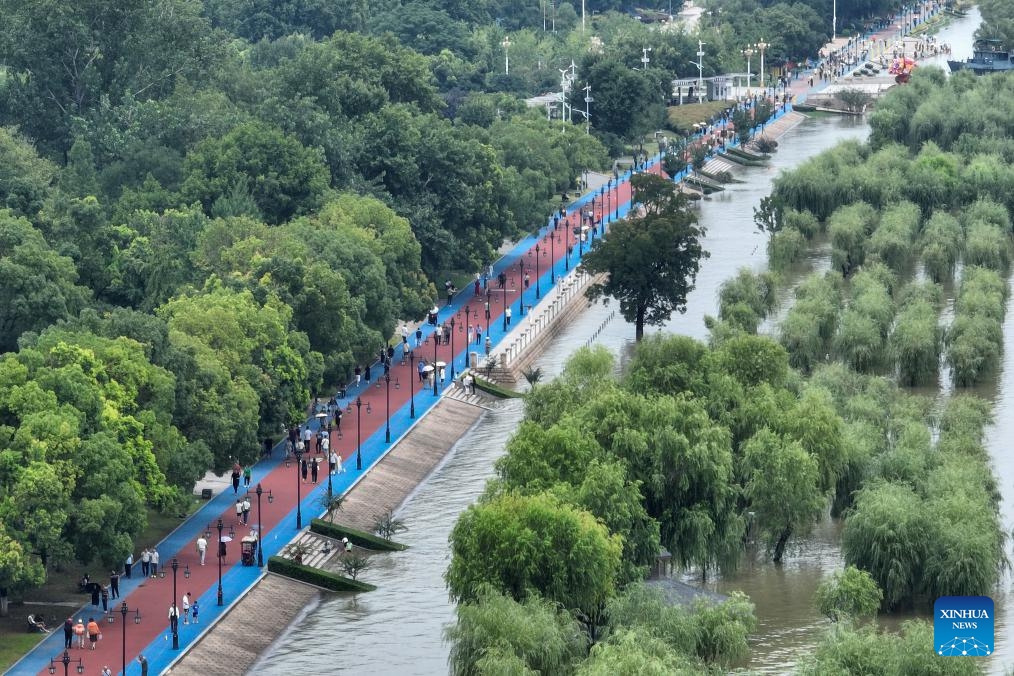 This aerial photo taken on July 2, 2024 shows the view of the marshland by the Yangtze River in Hankou of Wuhan, central China's Hubei Province. Water levels in sections of the middle and lower reaches of the Yangtze River -- China's longest river -- below the estuary of Dongting Lake, have exceeded the warning mark, according to the Ministry of Water Resources Tuesday. (Photo: Xinhua)