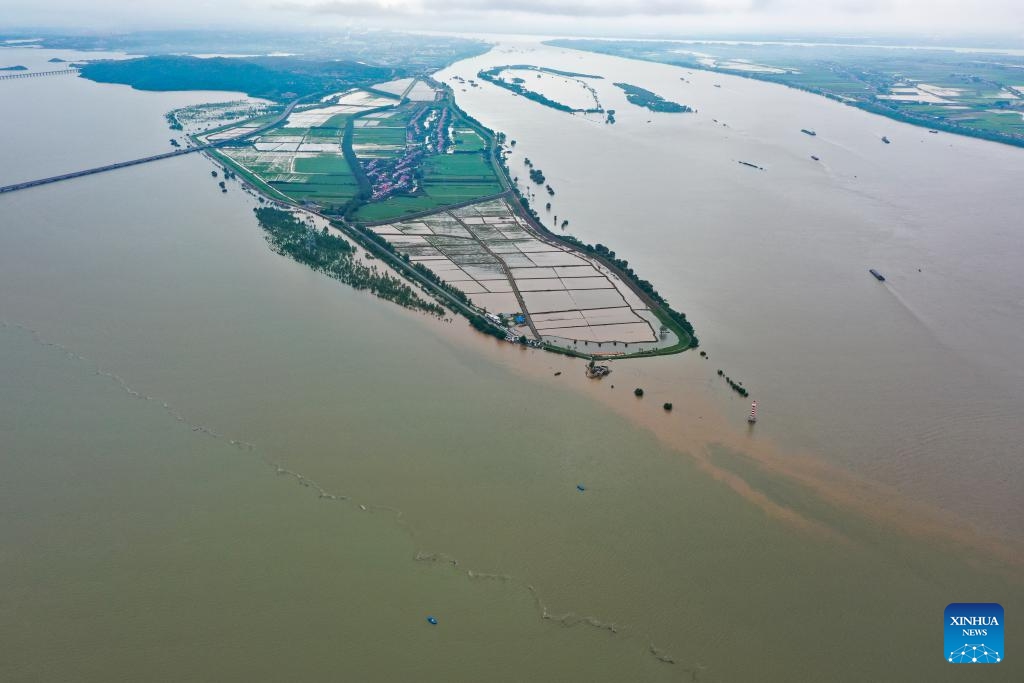 An aerial drone photo taken on July 2, 2024 shows submerged farmland in Yangjiachang Village of Jiujiang City, east China's Jiangxi Province. The water level at Xingzi hydrological station of the Poyang Lake had reached 21.29 meters at 8 p.m. Tuesday, 2.29 meters above the alert mark. (Photo: Xinhua)