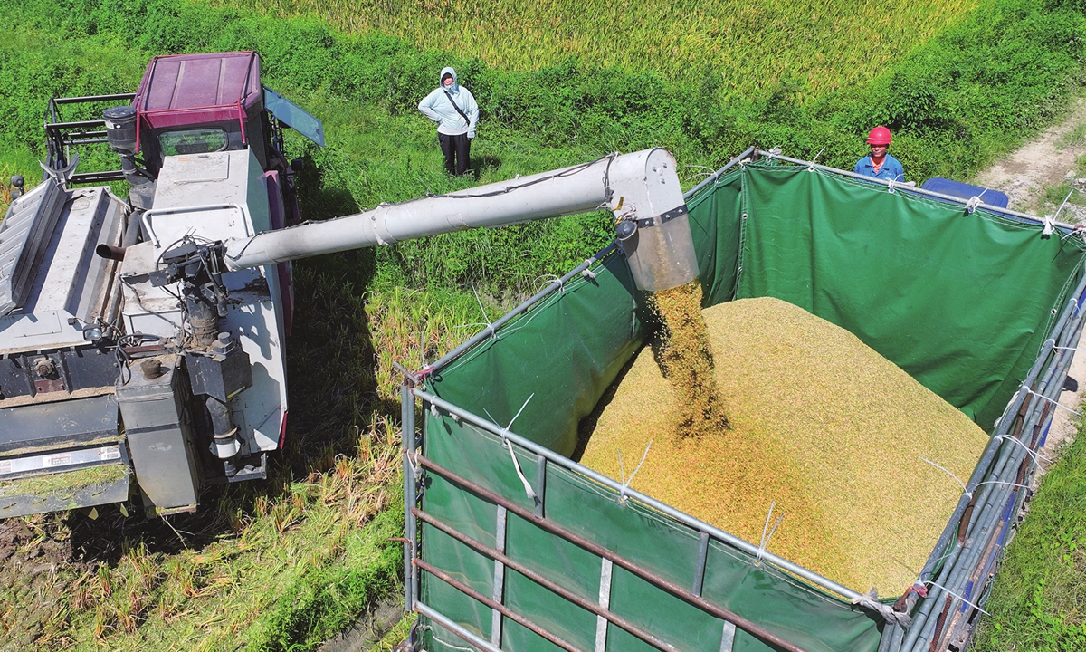 Farmers watch as harvested grain is loaded onto a truck in Yongfeng county, Ji’an city, East China’s Jiangxi Province on July 4, 2024. China is in its peak summer harvest season, and the country is expecting a bumper summer harvest, contributing to the global food supply. Photo: cnsphoto