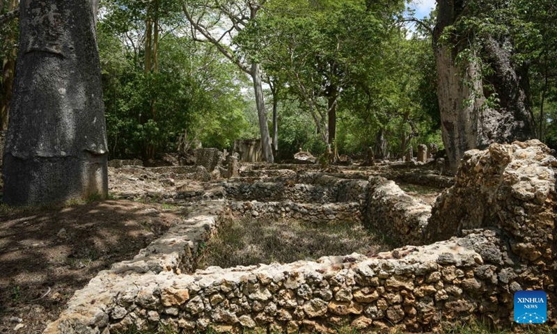 This photo taken on April 15, 2023 shows a view of the ruins of Gedi in Kilifi County, Kenya. The historic town of Gedi in the coastal region of Kenya has been inscribed on the World Heritage List by the United Nations Educational, Scientific and Cultural Organization (UNESCO), the National Museums of Kenya (NMK) said on Saturday. (Xinhua/Han Xu)