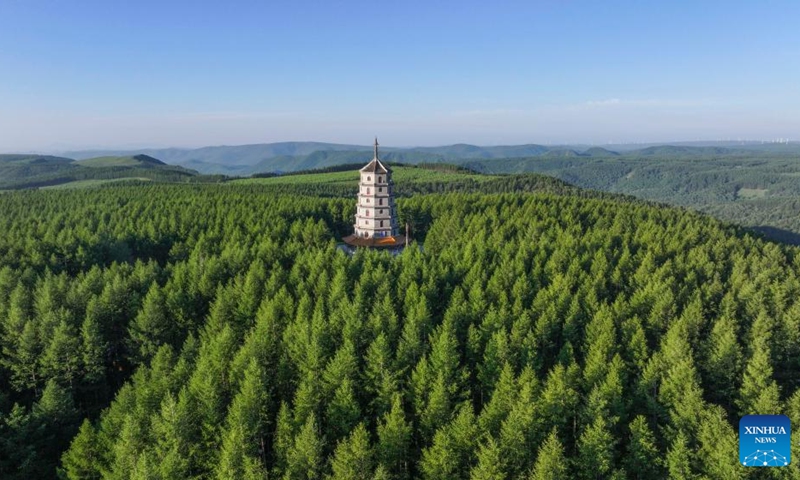 An aerial drone photo taken on early July 5, 2024 shows a view of the Saihanba National Forest Park in Chengde City, north China's Hebei Province. Photo: Xinhua